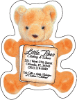 Teddy Bear Photo Frame Magnet